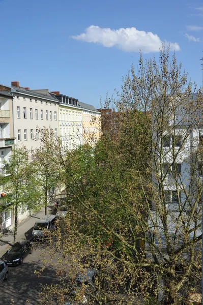 Sehr schöne und ästhetische Wohnung mit Wohnküche — photo 1